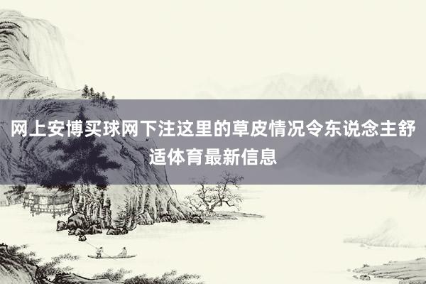 網上安博買球網下注這里的草皮情況令東說念主舒適體育最新信息