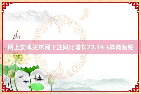 網(wǎng)上安博買球網(wǎng)下注同比增長23.14%體育集錦