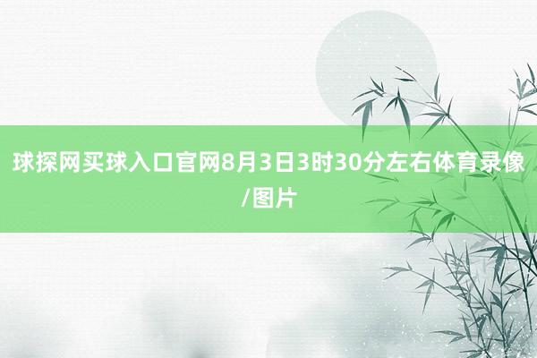 球探網買球入口官網8月3日3時30分左右體育錄像/圖片