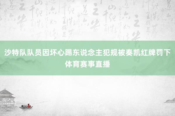 沙特隊隊員因壞心踢東說念主犯規被奏凱紅牌罰下體育賽事直播