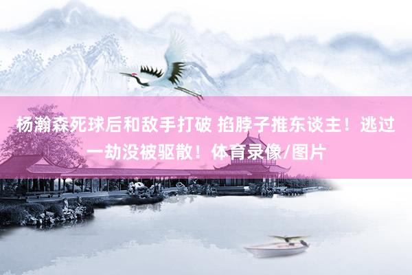 楊瀚森死球后和敵手打破 掐脖子推東談主！逃過一劫沒被驅散！體育錄像/圖片